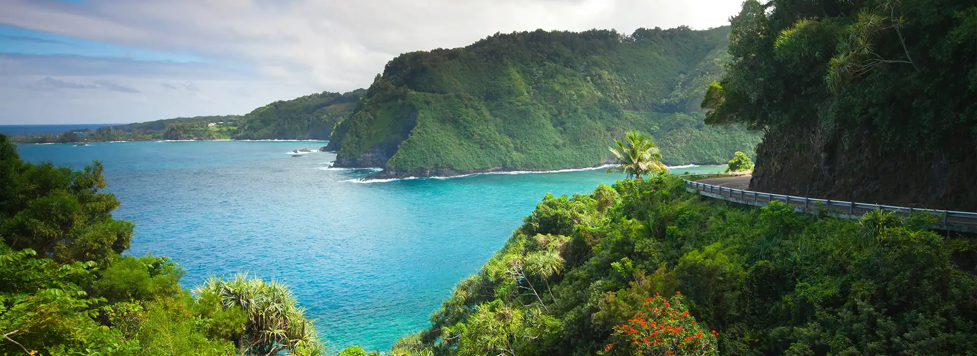 Palm trees and volcanic coastline in Hawaii